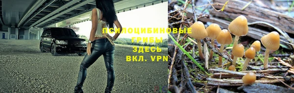 apvp Баксан