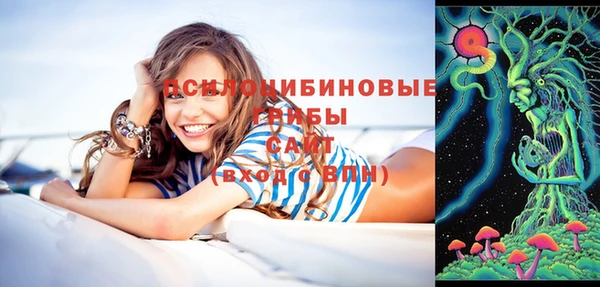 гидропоника Балабаново