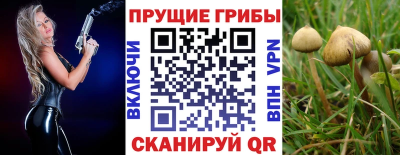 Галлюциногенные грибы GOLDEN TEACHER  Верещагино 